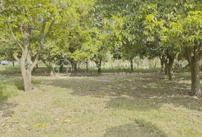  , Svay Chrum, Khsach Kandal, Kandal