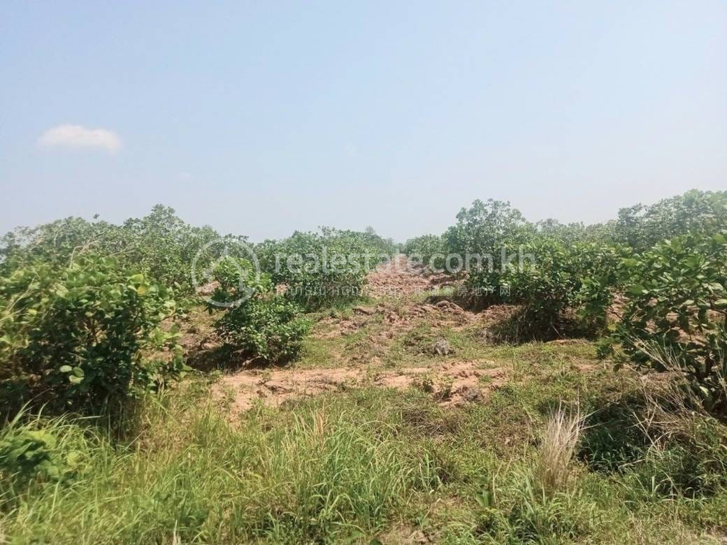 Sambour Lot For Sale in Sambour