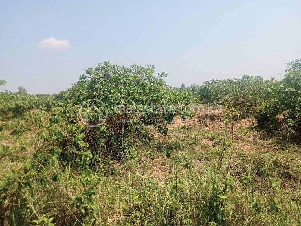 Ou Krieng Lot For Sale in Ou Krieng