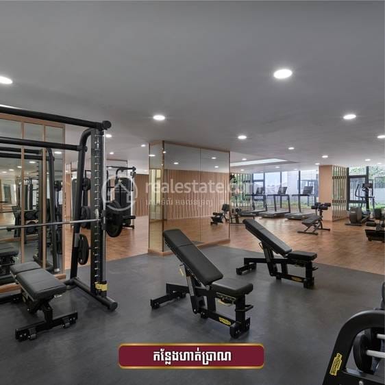 Chip Mong | Park Land TK Condo | $750 平房