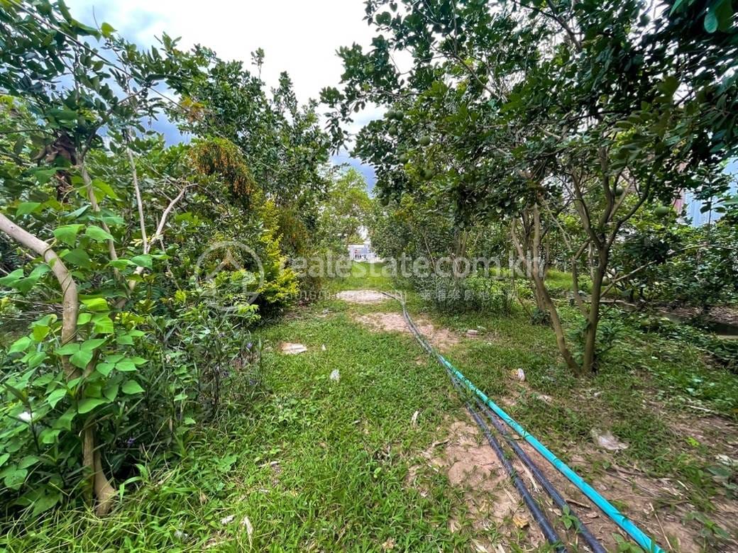 Kien Svay ที่ดิน สำหรับขาย ใน Kien Svay