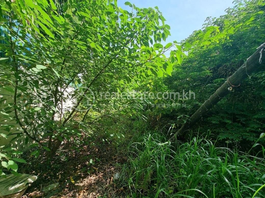 Boeng Keng Kang土地出售，位于BKK 1Boeng Keng Kang，价格$3