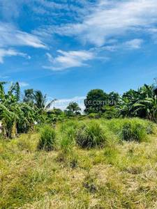 Prey Krasang, Odongk, Kampong Speu