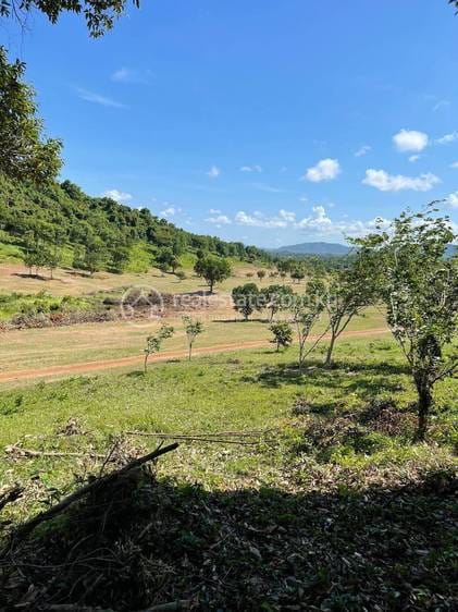 ที่ดิน สำหรับขาย ขนาดที่ดิน 218.27 ตร.ม.