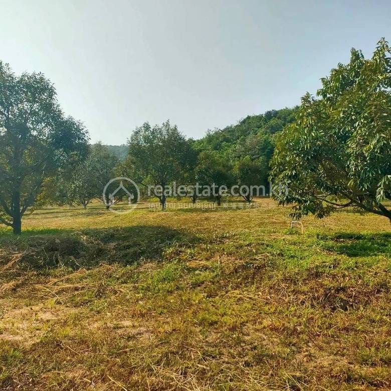 ที่ดิน สำหรับขาย ใน 3 ស្រុកដំណាក់ចង្អើរ, เปรยธม, แกบ, แกบ