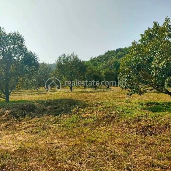 ที่ดิน สำหรับขาย ใน 3 ស្រុកដំណាក់ចង្អើរ, เปรยธม, แกบ, แกบ