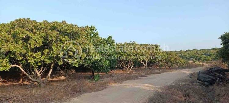 Land For Sale in Samraong, Oddar Meanchey