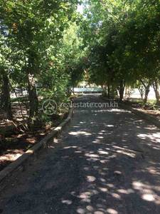  , Trapeang Kong, Samraong Tong, Kampong Speu