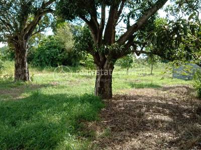 residential Land/Development for sale in Andoung Khmer ID 237161