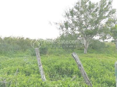 Preaek Pra, Chbar Ampov, พนมเปญ