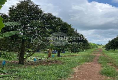  , Srayang, Kuleaen, Preah Vihear