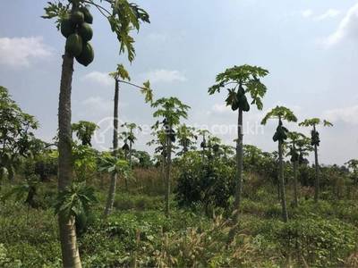  , Andoung Khmer, Kampot, Kampot