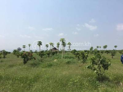  , Andoung Khmer, Kampot, Kampot
