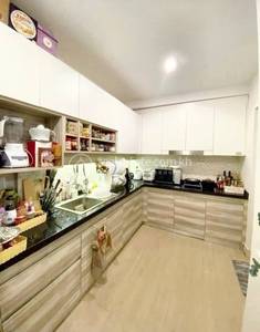 Borey Peng Huoth : The Star Platinum Mercurean II
