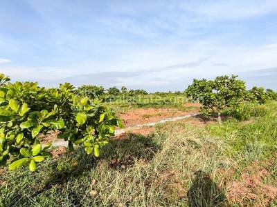 Ou Krieng, Sambour, Kratie