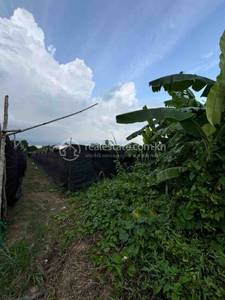 Phum Thum, Kien Svay, Kandal