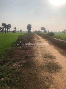 New street, Krang Svay, Preah Sdach, Prey Veng