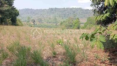 ផ្លូវចូលរមណីដ្ឋានទឹកធ្លាក់9ជាន់, Dechou Akphivoadth, Chhuk, Kampot