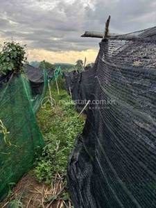 Phum Thum, Kien Svay, Kandal