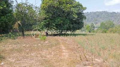 ផ្លូវចូលរមណីដ្ឋានទឹកធ្លាក់9ជាន់, Dechou Akphivoadth, Chhuk, Kampot