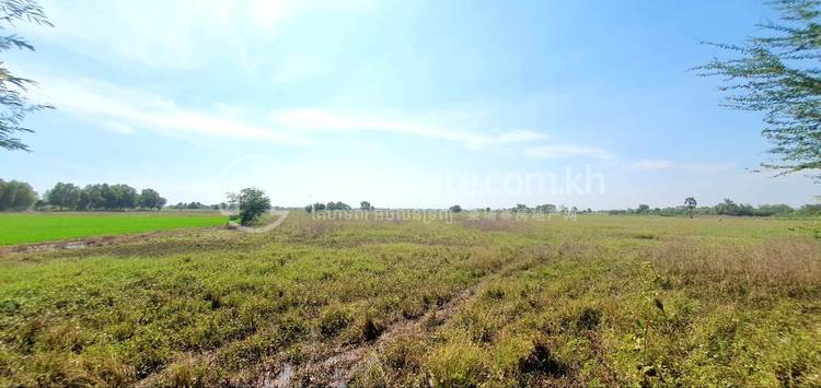 Banteay Daek, Kien Svay, Kandal