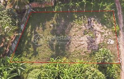 ពុកឬស្សី, ខ្សាច់កណ្តាល, កណ្ដាល