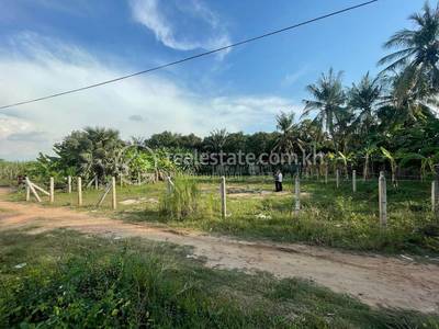 ពុកឬស្សី, ខ្សាច់កណ្តាល, កណ្ដាល
