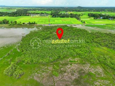 ស្វាយទងខាងជើង, កំពង់ត្រាច, កំពត