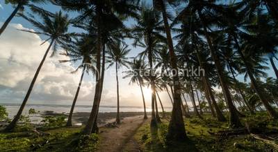     , "Chroy Svay", Srae Ambel, Koh kong