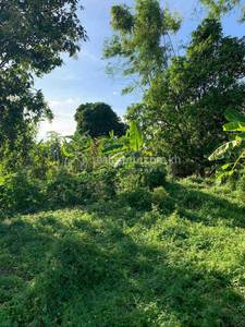  , ស្វាយរមៀត, ខ្សាច់កណ្តាល, កណ្ដាល