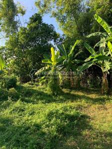 , ស្វាយរមៀត, ខ្សាច់កណ្តាល, កណ្ដាល