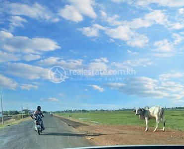 Rubber Road 132 132, ច្បារមន, ច្បារមន, កំពង់ស្ពឺ