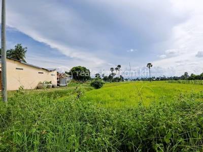 ពង្រ, រលាប្អៀរ, កំពង់ឆ្នាំង