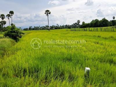 ពង្រ, រលាប្អៀរ, កំពង់ឆ្នាំង