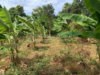      , Samraong Thum, Kien Svay, Kandal