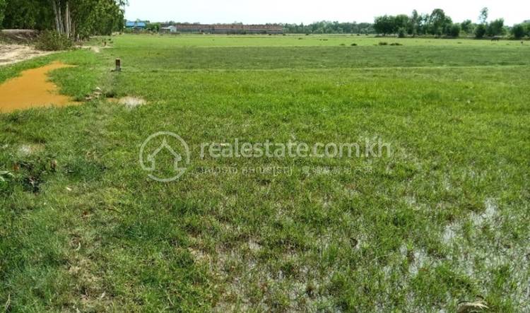 Chek, Svay Rieng, Svay Rieng