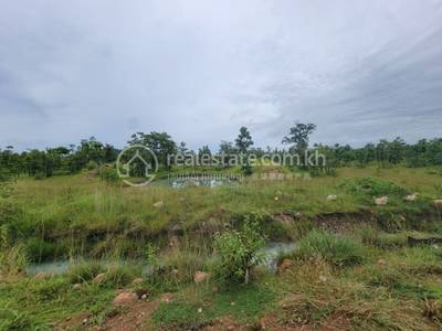 Trapeang Chres, Koun Mom, Ratanakiri