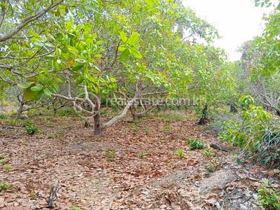 Boeung Lvea, Santuk, Kampong Thom