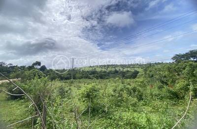 Romonea, Saen Monourom, Mondulkiri