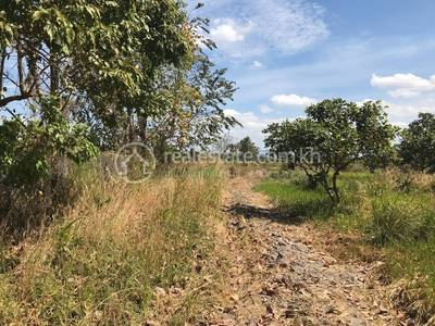 សង្កែសាទប, ឱរ៉ាល់, កំពង់ស្ពឺ