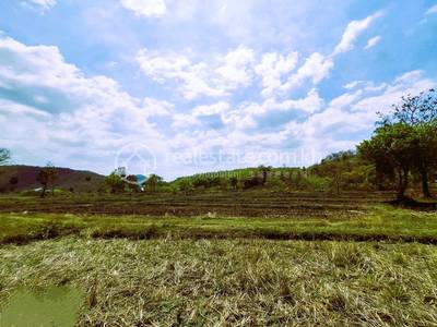 Srae Thmei, Rolea B'ier, Kampong Chhnang