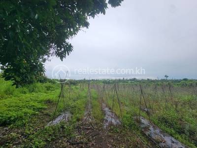 Trapeang Chres, Koun Mom, Ratanakiri