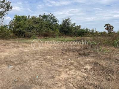 អំពៅព្រៃ, កណ្តាលស្ទឹង, កណ្ដាល