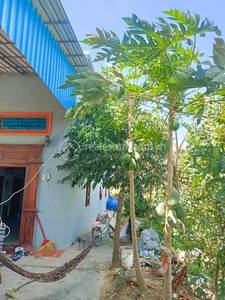 Sdok, Kong Pisei, Kampong Speu