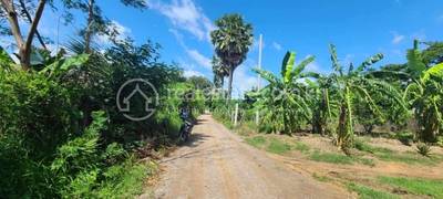 Boeung Pring, Thma Koul, Battambang