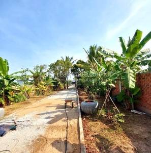 Lvea Sar, Lvea Aem, Kandal