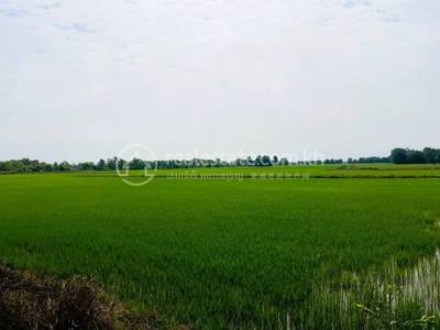 Reach Montir, Kampong Rou, Svay Rieng