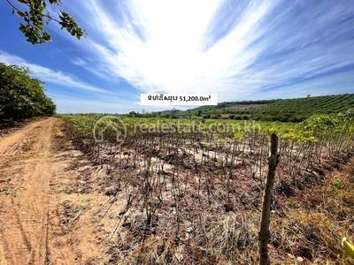 Kampong Damrei, Chhloung, Kratie