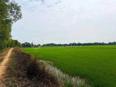 Reach Montir, Kampong Rou, Svay Rieng