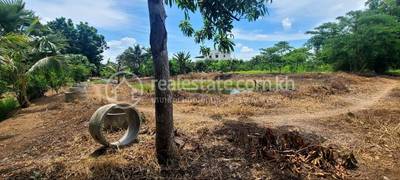 Boeung Pring, Thma Koul, Battambang